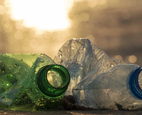 Nov Blog 1 - negative environmental impact